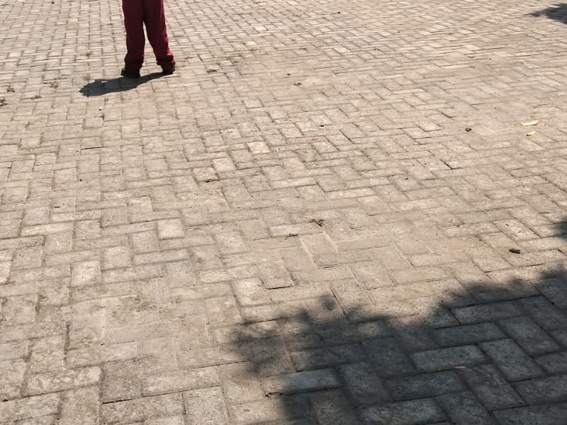 Halaman Sekolah