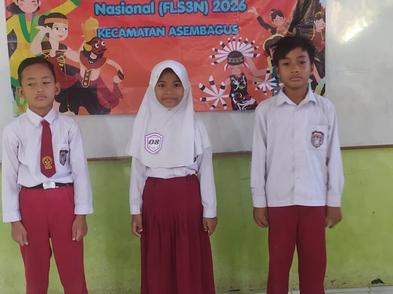 FLS3N
